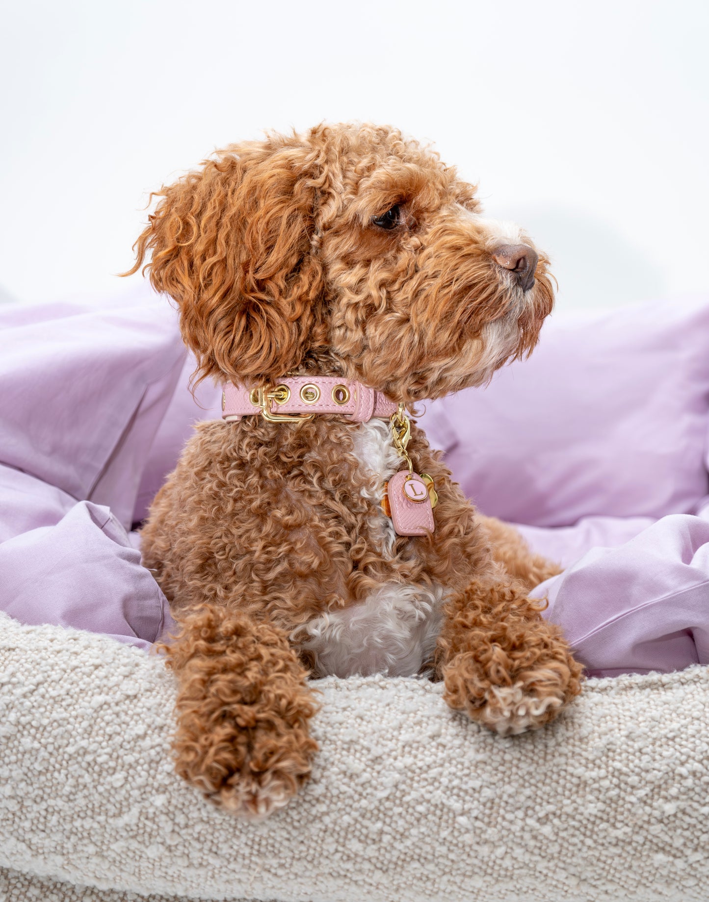 PINK- CREAM PET COLLAR