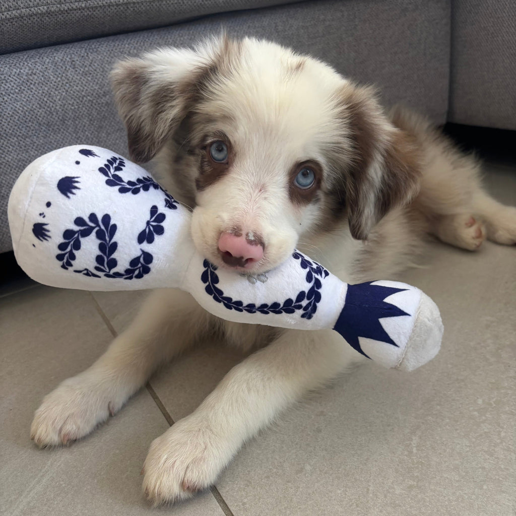 PAWS AZUL TEQUILA TOY- BLUE