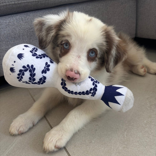 PAWS AZUL TEQUILA TOY- BLUE