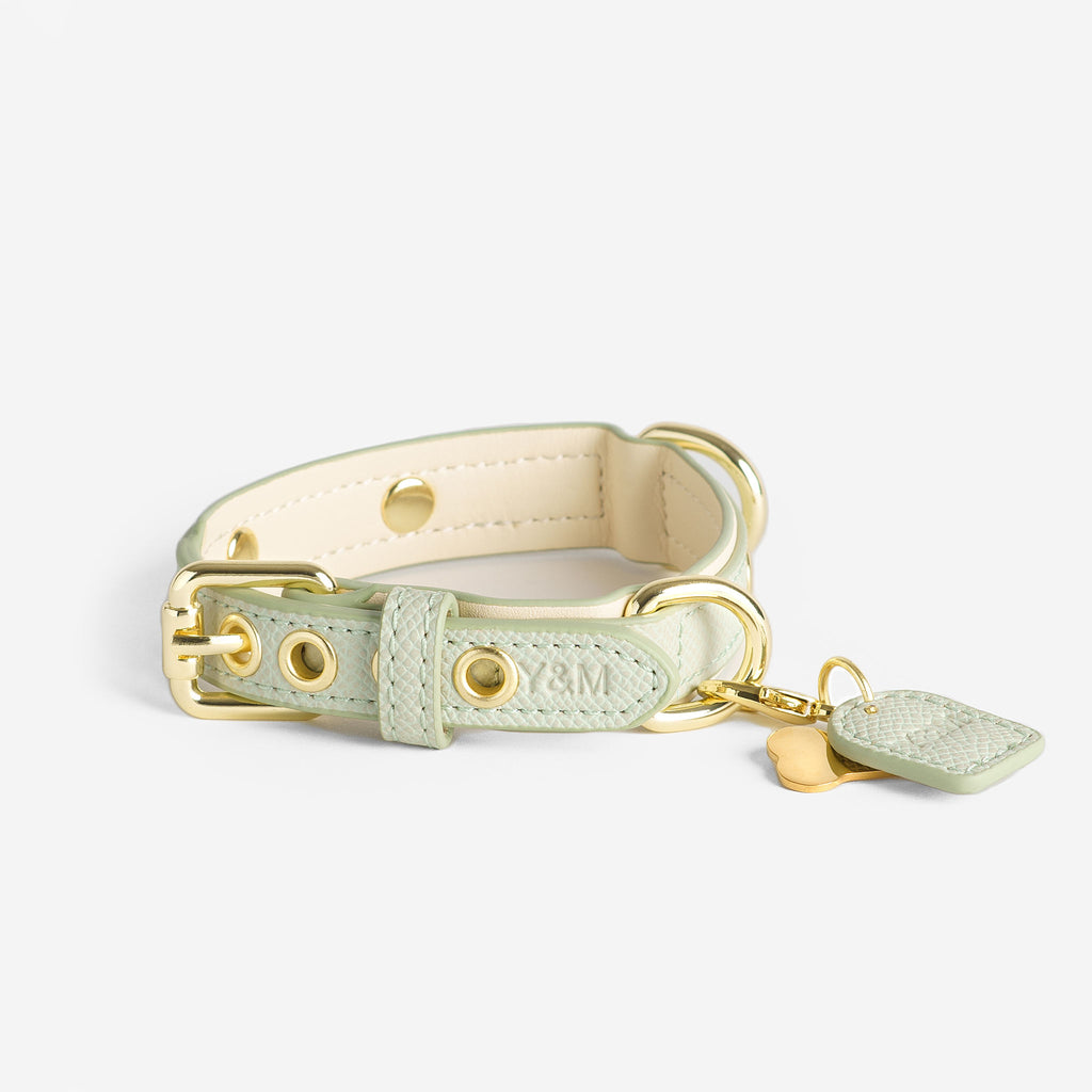 Green & Cream Dog Collar
