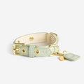 Green & Cream Dog Collar