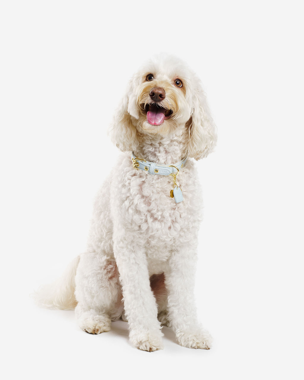 Blue & Cream Dog Collar