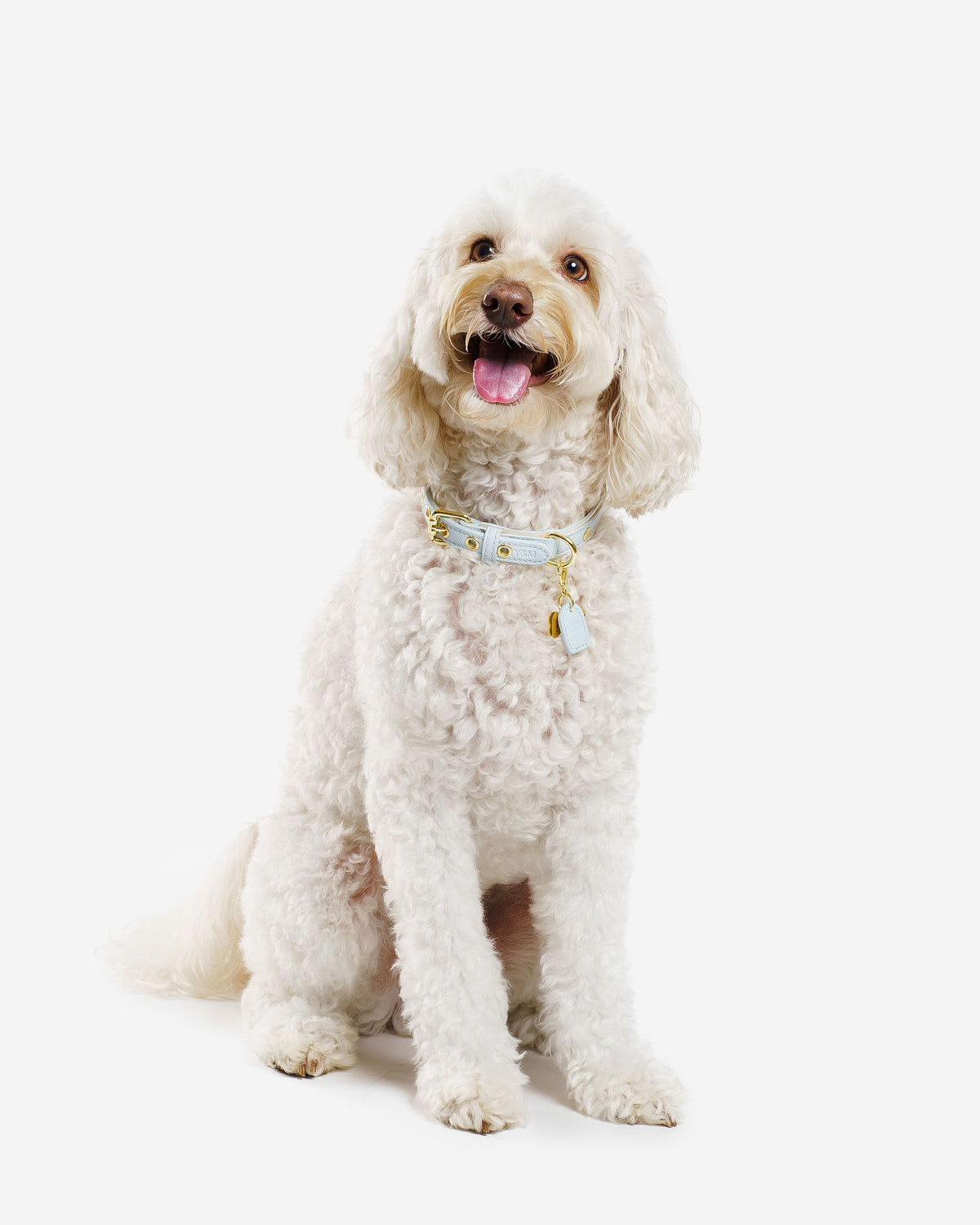 Blue & Cream Dog Collar