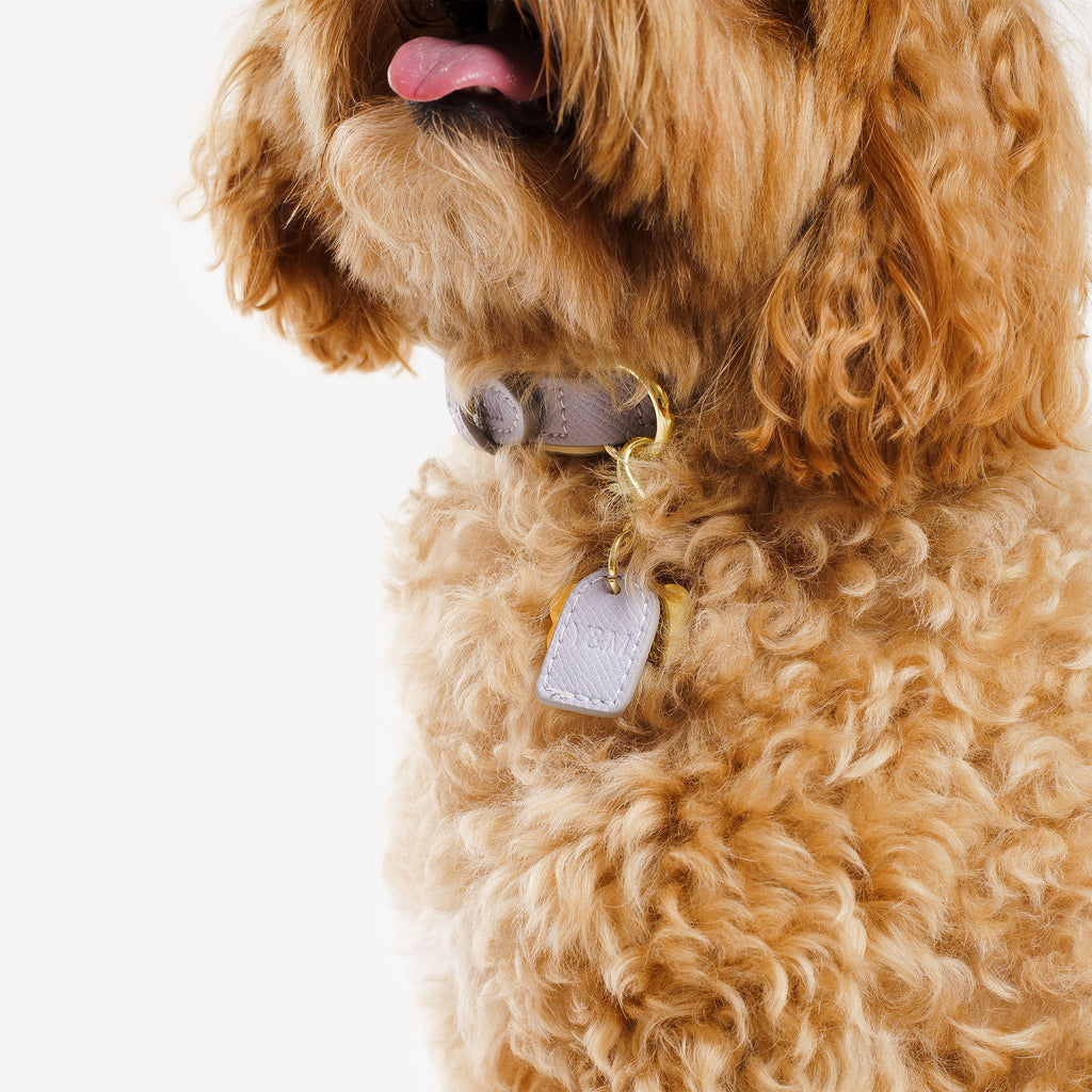 Purple & Cream Dog Collar