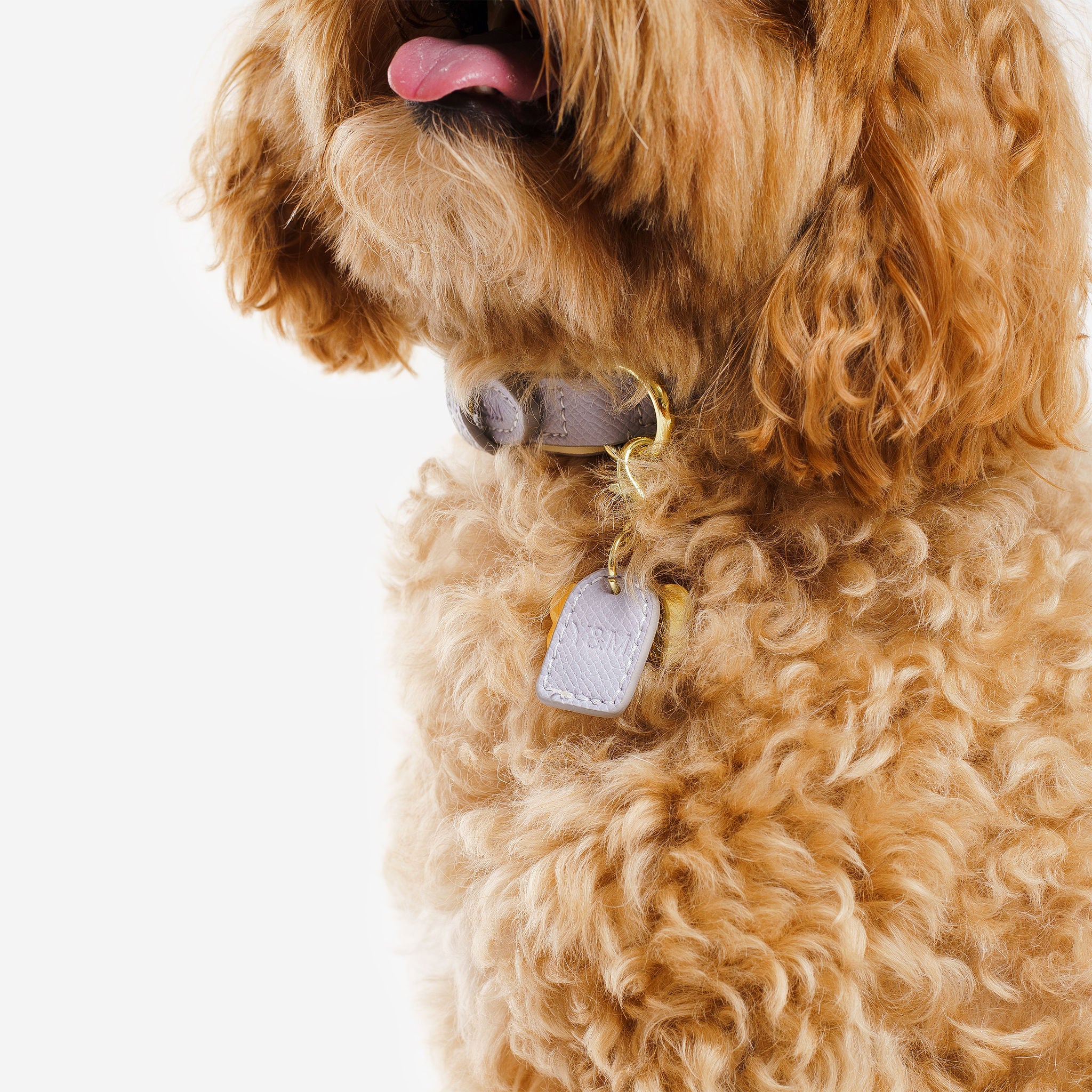 Purple & Cream Dog Collar