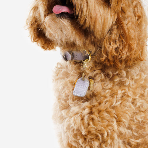 Purple & Cream Dog Collar